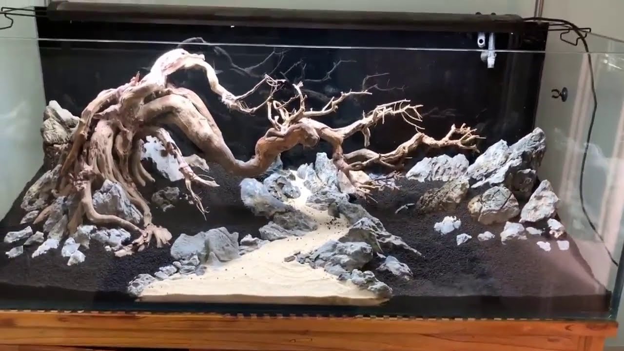 Bonsai Driftwood A Unique and Striking Art Form 1 Bonsai Driftwood A Unique and Striking Art Form
