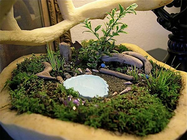 Miniature Garden Magic A Guide to Creating Your Own Enchanted World 1 Miniature Garden Magic A Guide to Creating Your Own Enchanted World
