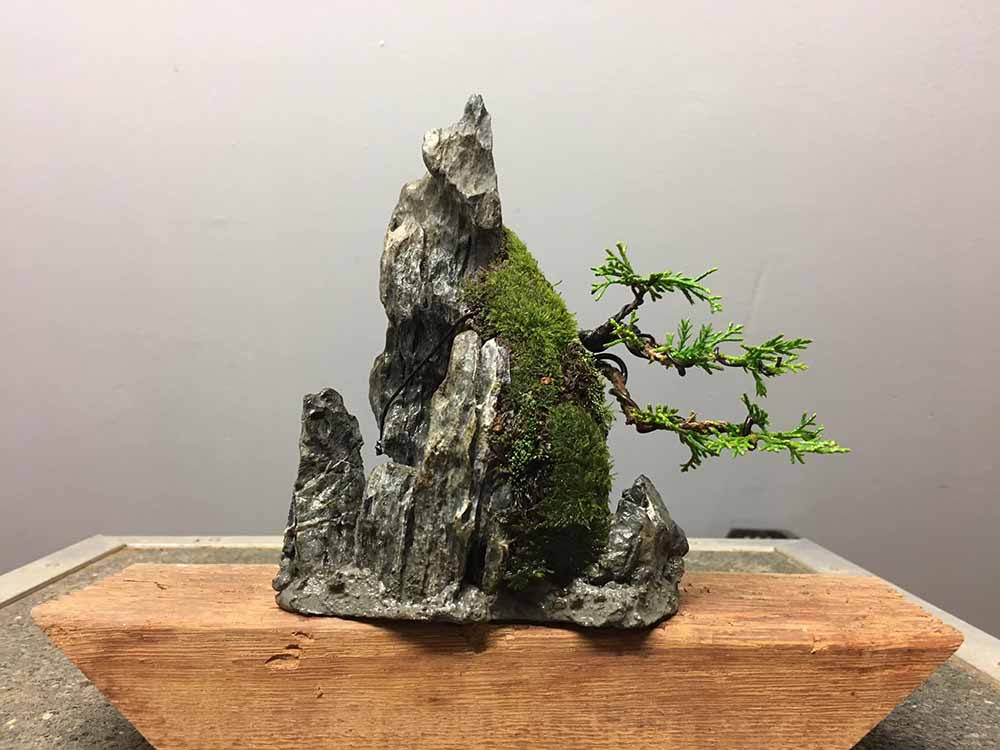 The Allure of Resin Bonsai A Unique Art Form 1 The Allure of Resin Bonsai A Unique Art Form